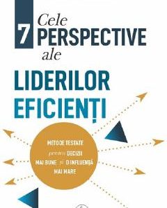 Cele 7 perpective ale liderilor eficienti - Daniel Harkavy