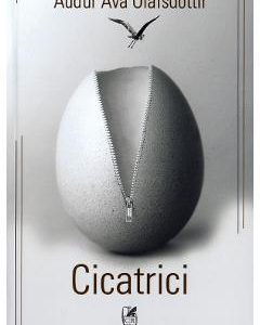 Cicatrici - Audur Ava Olafsdottir