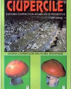 Ciupercile - N. Mateescu