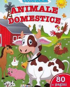 Coloram animale domestice. 80 de pagini pentru tine!