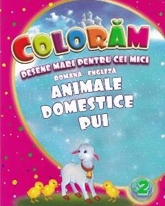 Coloram desene mari pentru cei mici: Animale domestice pui
