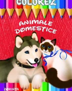 Colorez: Animale domestice