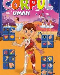 Corpul uman