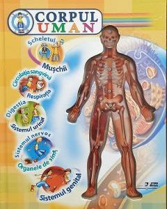 Corpul uman