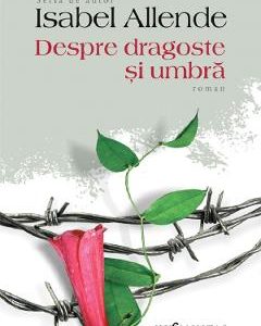 Despre dragoste si umbra - Isabel Allende