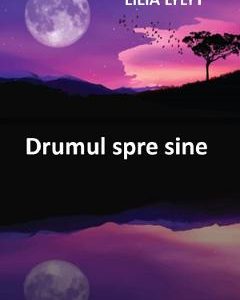 Drumul spre sine - Lilia Lylyt