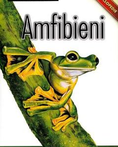 Enciclopedie: Amfibieni