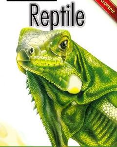 Enciclopedie: Reptile