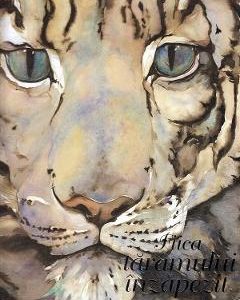 Fiica taramului inzapezit - Jackie Morris