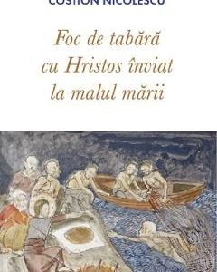 Foc de tabara - Costion Nicolescu