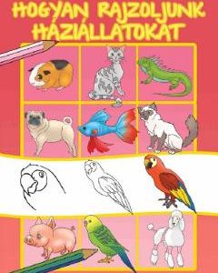 Hogyan rajzoljunk haziallatokat. Cum sa desenam animale de companie