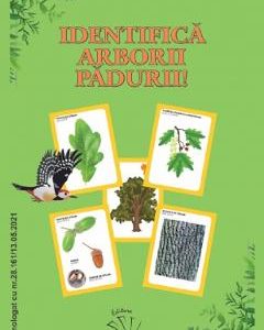 Identifica arborii padurii