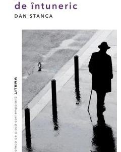 Inainte de intuneric - Dan Stanca