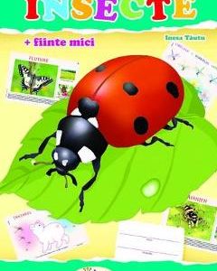 Insecte (mapa) - Inesa Tautu