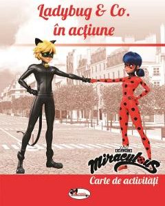 Ladybug and Co in actiune. Carte de activitati