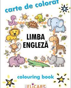 Limba engleza. Carte de colorat / Colouring Book
