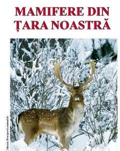 Mamifere din tara noastra - Iuliana Simulescu