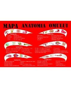 Mapa anatomia omului - Mariana Bodea