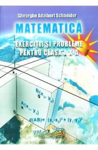 Matematica - Clasa 10 - Exercitii si probleme - Gheorghe Adalbert Schneider, Manuale Carte Scolara