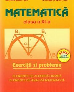 Matematica - Clasa 11 - Exercitii si probleme - Marius Burtea