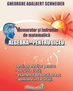 Memorator algebra pentru liceu - Gheorghe Adalbert Schneider