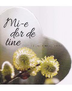 Mi-e dor de tine