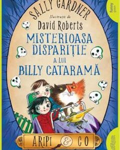 Misterioasa disparitie a lui Billy Catarama. Seria Aripi si Co Vol.3 - Sally Gardner