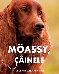 Moassy