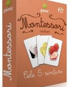 Montessori. Clasificare: Cele 5 simturi