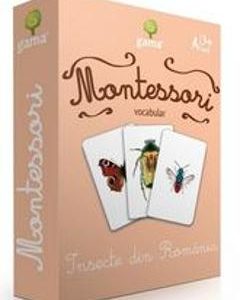 Montessori. Vocabular: Insecte din Romania
