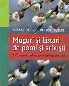 Muguri si lastari de pomi si arbusti - Bernd Schulz