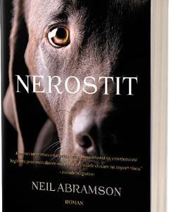 Nerostit - Neil Abramson
