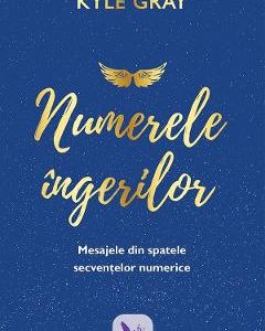 Numerele ingerilor - Kyle Gray