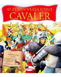 O zi din viata unui cavaler - Andrea Hopkins