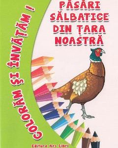 Pasari salbatice din tara noastra - Coloram si invatam!
