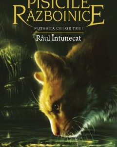 Pisicile Razboinice Vol.14: Raul intunecat - Erin Hunter