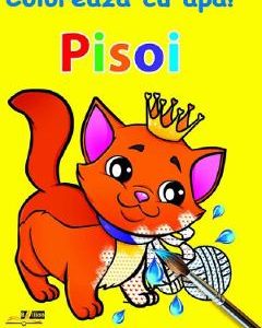 Pisoi. Coloreaza cu apa! + Exercitii de dezvoltare