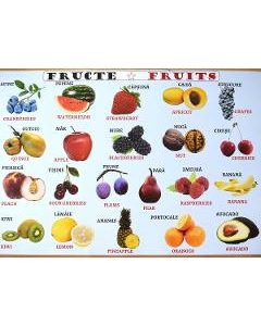 Plansa: Fructe - Legume