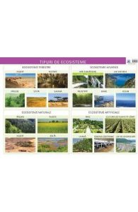 Plansa tipuri de ecosisteme - Florica Alexandrescu, Carti Pentru Copii
