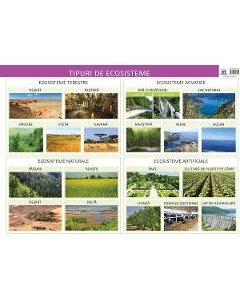 Plansa tipuri de ecosisteme - Florica Alexandrescu