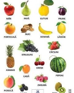 Plansa. Fructe