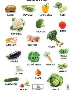 Plansa. Legume