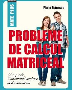 Probleme de calcul matriceal - Florin Stanescu