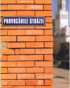 Provocarile strazii - Constantin Necula