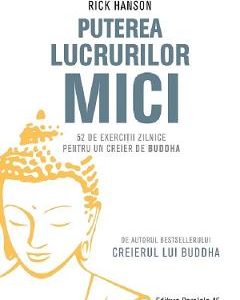 Puterea lucrurilor mici - Rick Hanson