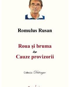 Roua si bruma. Cauze provizorii - Romulus Rusan