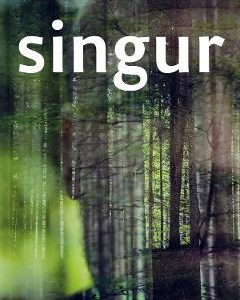 Singur - Sebastian Lazaroiu