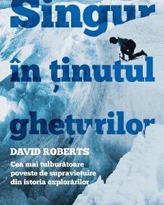 Singur in tinutul gheturilor - David Roberts