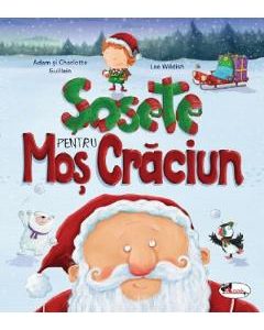 Sosete pentru Mos Craciun - Adam Guillain