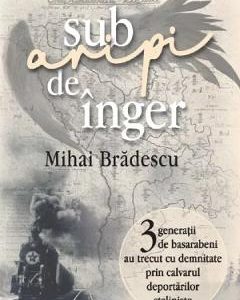 Sub aripi de inger - Mihai Bradescu